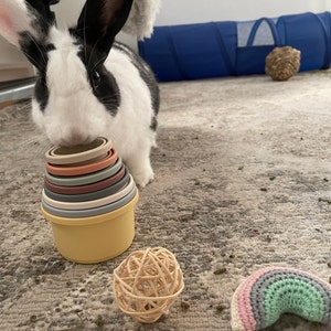 8 vasos apilables para conejos, juguetes para anidar conejitos