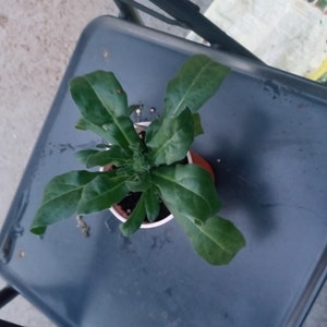 Alton added a photo of their purchase