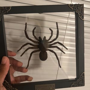 Jasper added a photo of their purchase