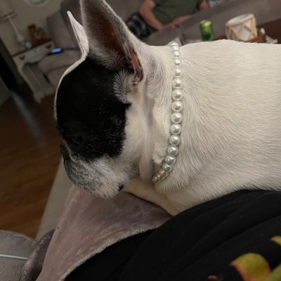 White Pearl Necklace for Dogs and Cats, Dog Pearl Collar - Etsy