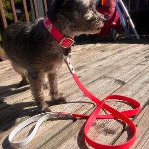 Lilly added a photo of their purchase