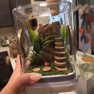 Sun added a photo of their purchase