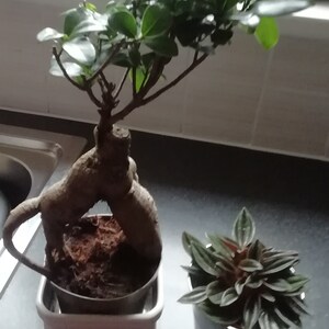 Cheryl added a photo of their purchase