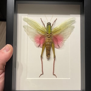 Ian added a photo of their purchase