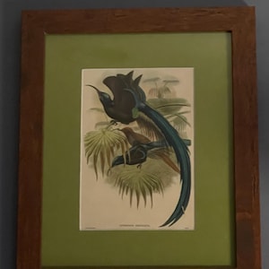 Laura added a photo of their purchase