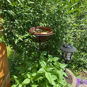 franzima added a photo of their purchase
