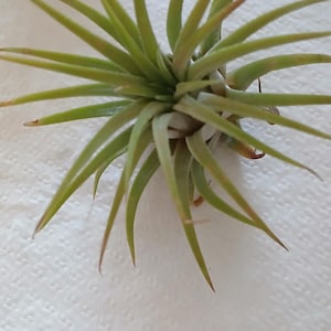 Colleen added a photo of their purchase
