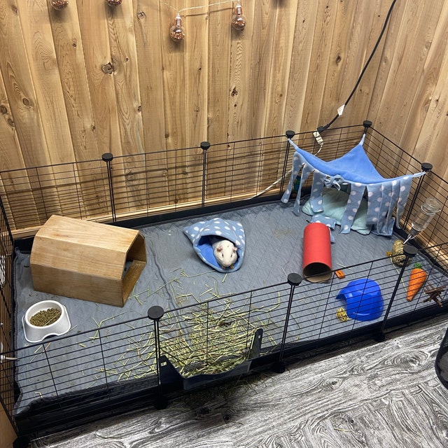 Guinea pig cage clearance decorations