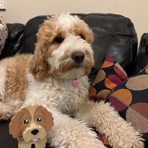 Mollie added a photo of their purchase