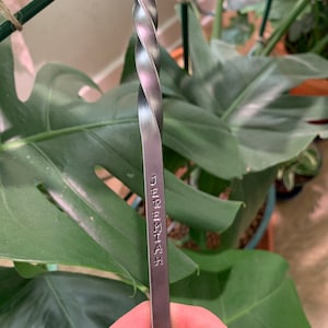 Haley added a photo of their purchase