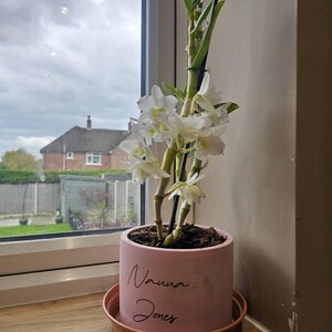 Stacey added a photo of their purchase