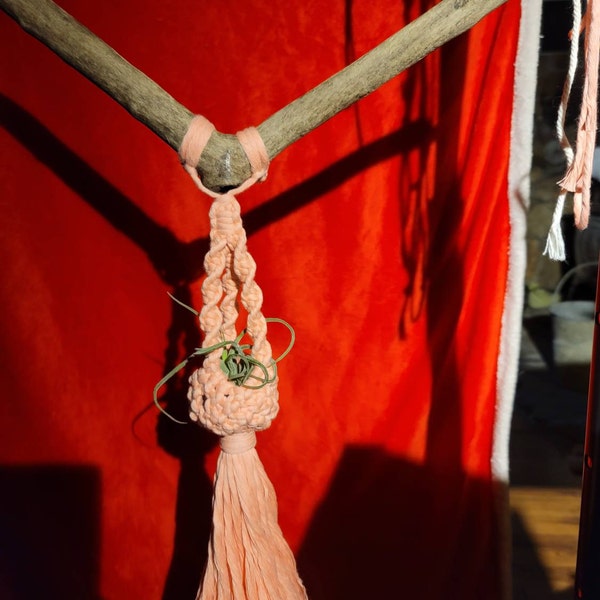 PDF Macrame Owl Pattern Digital Macrame Owl Wall Hangings Wall Decor