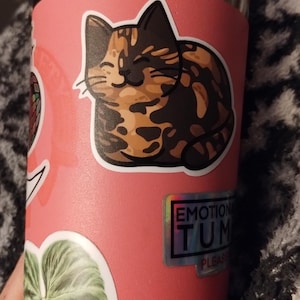 Stacy added a photo of their purchase