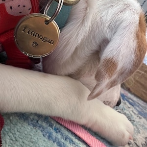 Al added a photo of their purchase