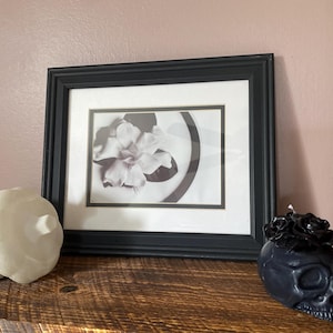 Danielle added a photo of their purchase