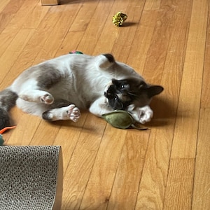 Amber ha añadido una foto de su compra