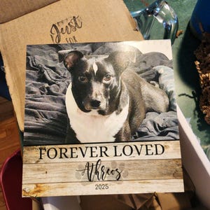 Christine added a photo of their purchase