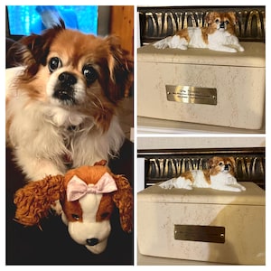 Carol added a photo of their purchase