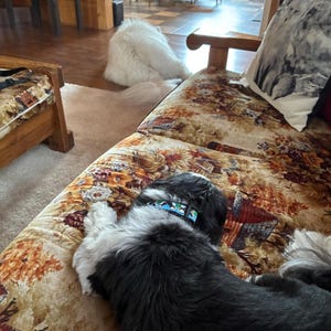 melissa added a photo of their purchase