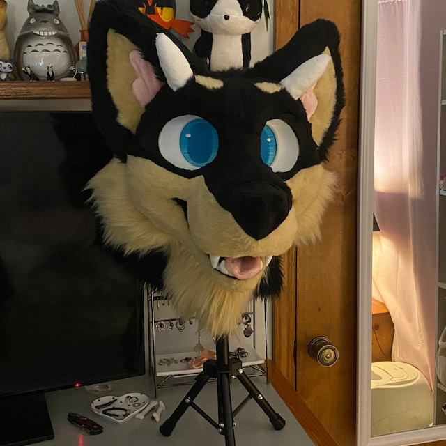 Tom the Cat, Furry Fursuit Foam Full Head Base for Fursuiting, For Furries  and Cosplay - DIY - fhb19 