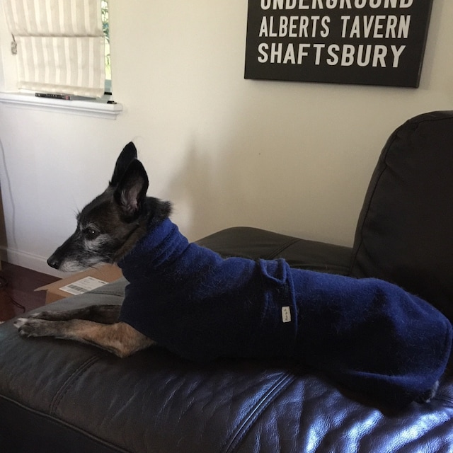 Extreme Winter Dog Coat Tough dog coat custom dog coat Etsy