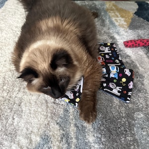 Donna added a photo of their purchase