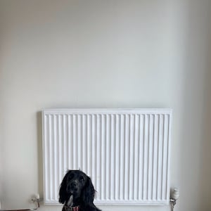 Charlotte added a photo of their purchase