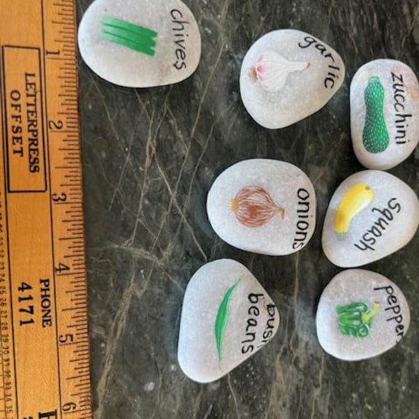 Vegetable Garden Rocks (variety) - Etsy