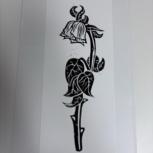 Leah adicionaram uma foto da sua compra