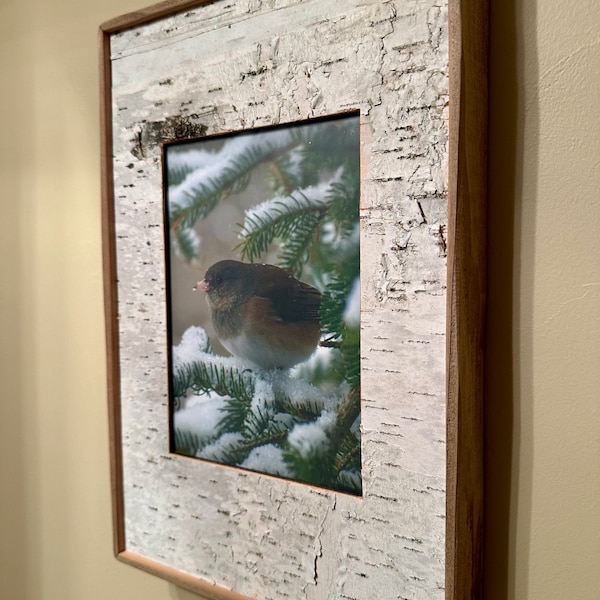 Birch Frame Birch Bark Picture Frame • White Birch • Rustic Farmhouse Decor - Etsy