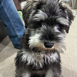 Sarah added a photo of their purchase