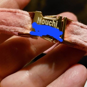 Anita added a photo of their purchase
