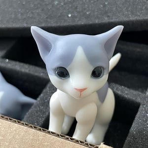 Kristin added a photo of their purchase