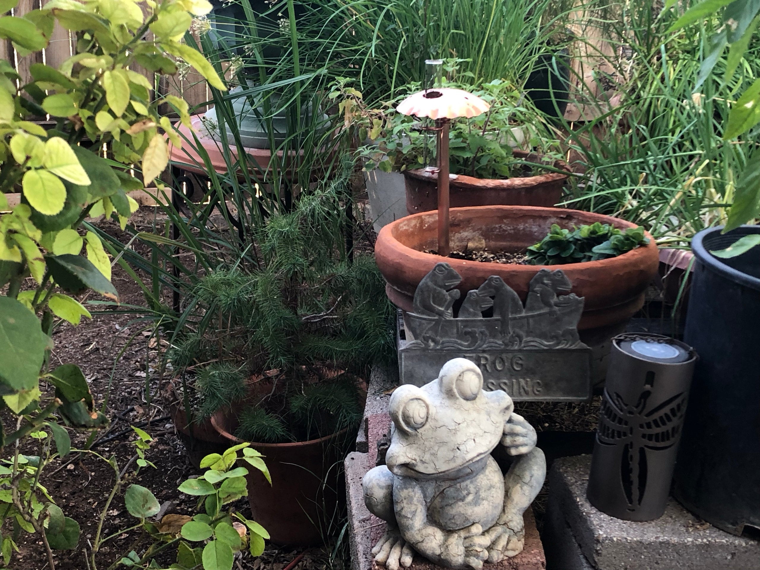 Copper Mushroom Rain Gauge