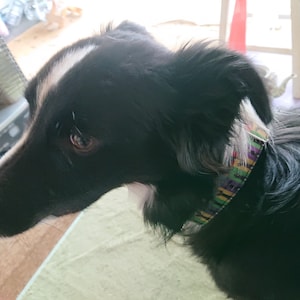 Juju heeft een foto van de aankoop toegevoegd