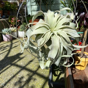 Rita added a photo of their purchase