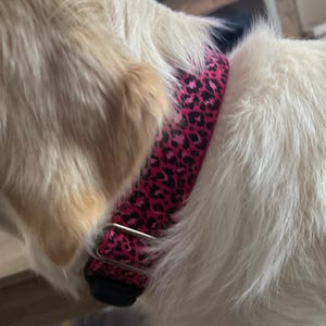 Lucy added a photo of their purchase