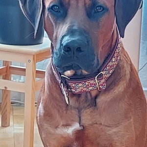 Jürgen added a photo of their purchase