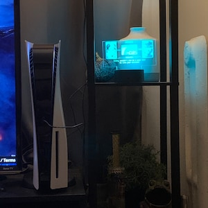 Haley added a photo of their purchase