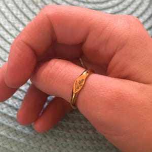 Allie さんが購入した商品の写真を追加しました