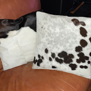 Betsy added a photo of their purchase