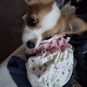 Monse a ajouté une photo de son achat
