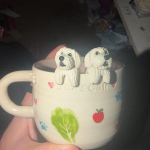 Nicky added a photo of their purchase