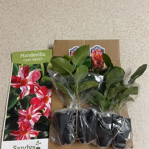 Sherri added a photo of their purchase