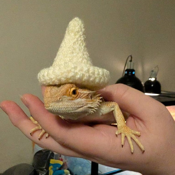 Crochet Headband Pattern for Bearded Dragon Set 4 - Etsy