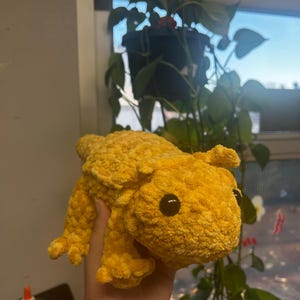 Caitlin hat ein Foto des gekauften Artikels hinzugefügt