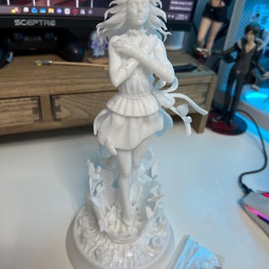 Pyrate added a photo of their purchase