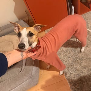 Isabel a ajouté une photo de son achat