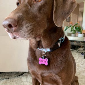Mary added a photo of their purchase