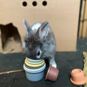 Emma added a photo of their purchase